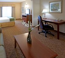 Holiday Inn Express Hotel & Suites Room