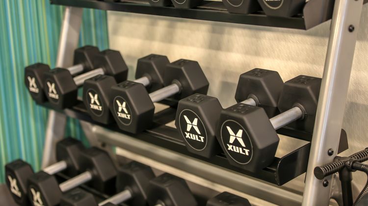 Holiday Inn Express/Sts Nashville North Health Club