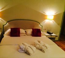 Hotel Al Camin Room
