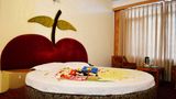 Hotel Mountain Top Room