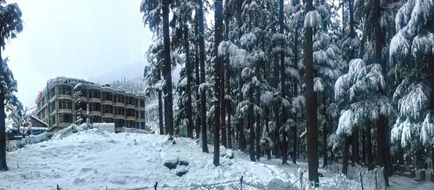 Hotel Mountain Top Exterior