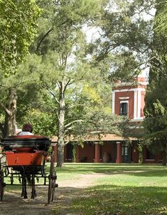 La Bamba de Areco