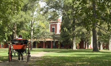 La Bamba de Areco