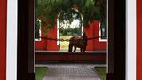 La Bamba de Areco Exterior