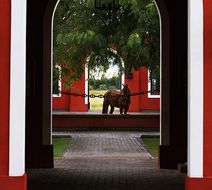 La Bamba de Areco Exterior