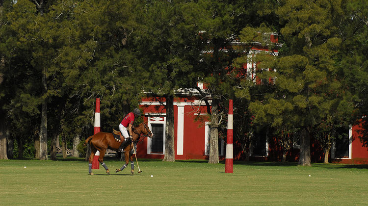 La Bamba de Areco Other