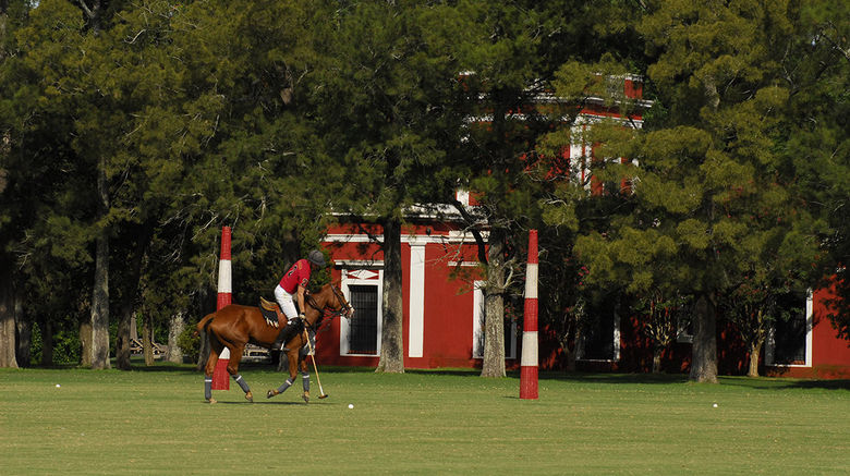 <b>La Bamba de Areco Other</b>. Images powered by <a href="https://www.leonardoworldwide.com/" title="Leonardo Worldwide" target="_blank">Leonardo</a>.