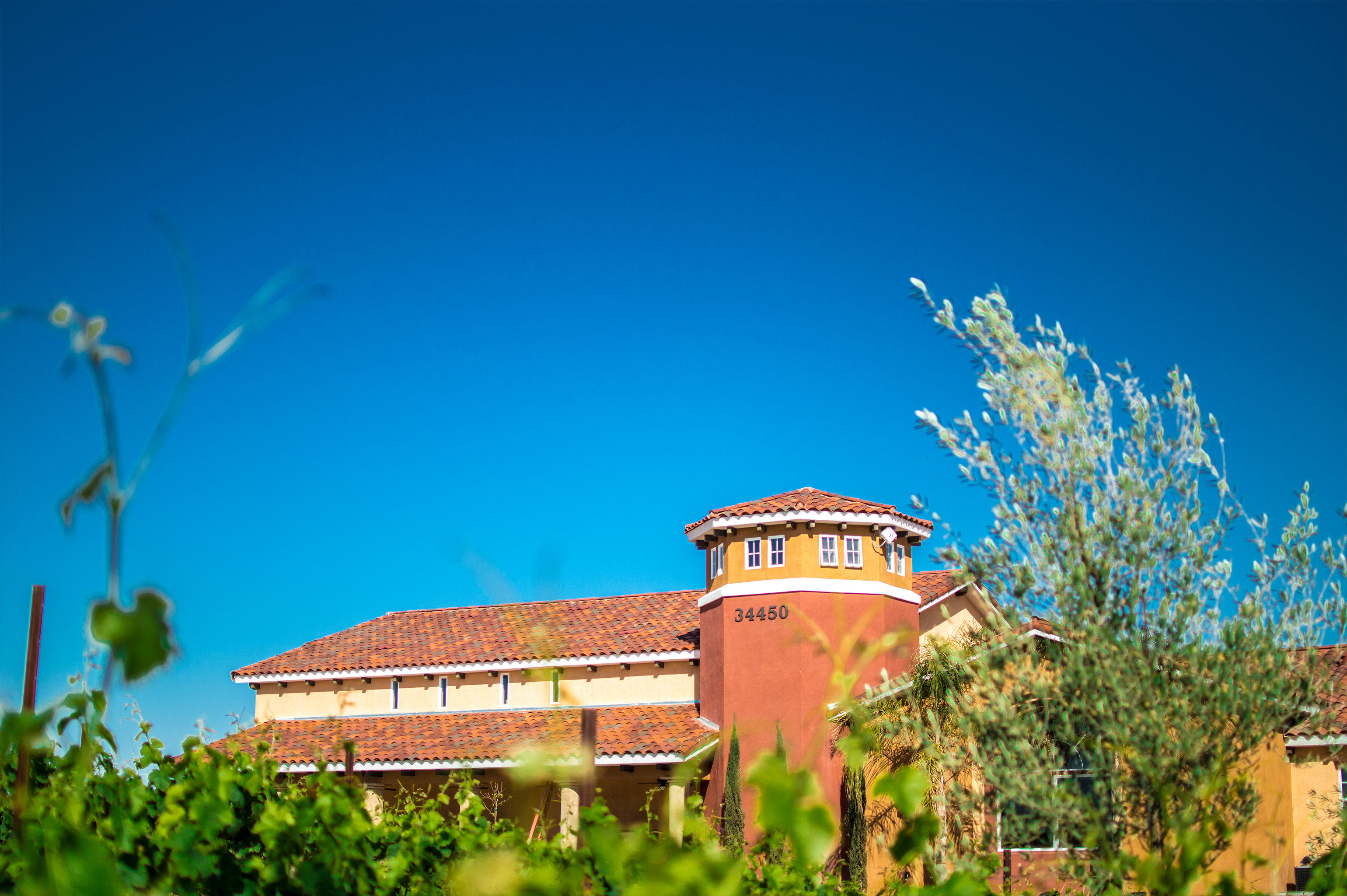 Carter estate winery outlet