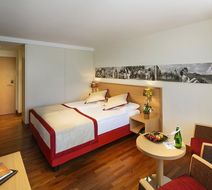 Swiss Holiday Park Room