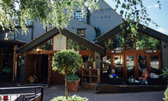 The Globe