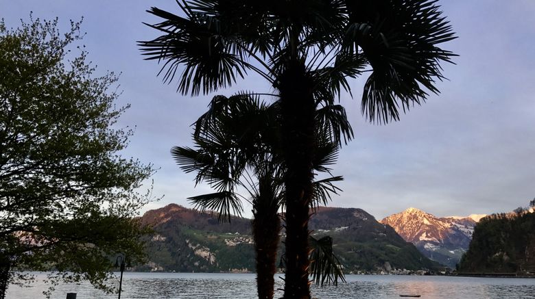 <b>Belvedere Seehotel Other</b>. Images powered by <a href="https://www.leonardoworldwide.com/" title="Leonardo Worldwide" target="_blank">Leonardo</a>.