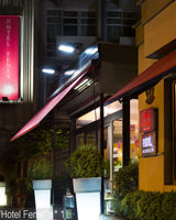 Hotel Fenix Roma
