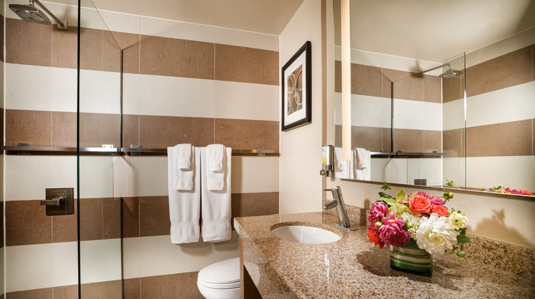 <b>Hotel Rose Downtown Room</b>. Images powered by <a href="https://www.leonardoworldwide.com/" title="Leonardo Worldwide" target="_blank">Leonardo</a>.