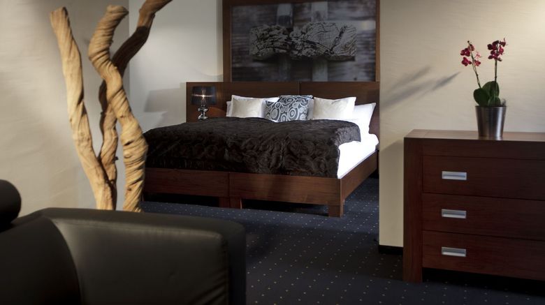 <b>Baeren Sigrisvil Hotel Room</b>. Images powered by <a href="https://www.leonardoworldwide.com/" title="Leonardo Worldwide" target="_blank">Leonardo</a>.