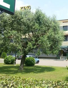 Find Muggio, Italy Hotels- Downtown Hotels in Muggio- Hotel Search by Hotel  & Travel Index: Travel Weekly