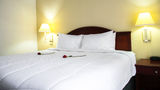 Hotel Mirador Plaza Room