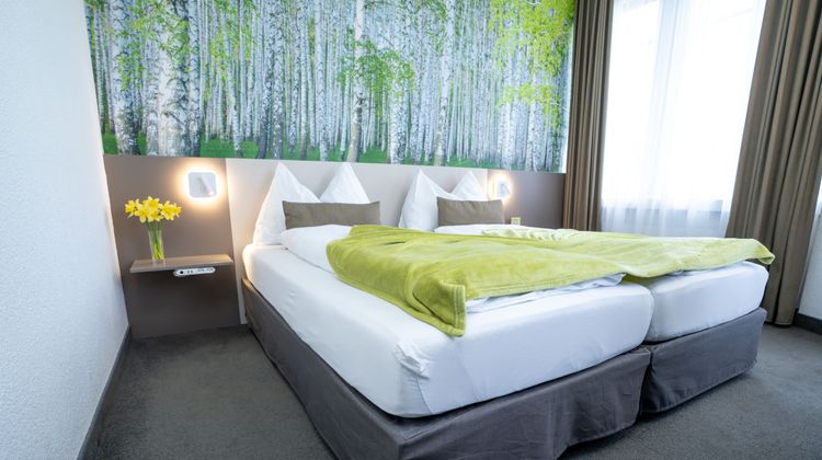 Waldhorn Hotel Room