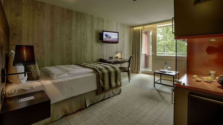 Grischa DAS Hotel Davos Room