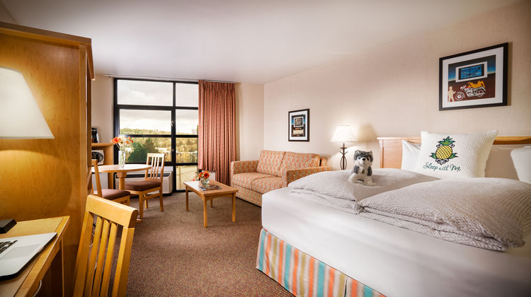 University Inn Room