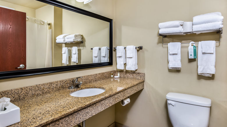 <b>Cobblestone Inn & Suites Vinton Spa</b>. Images powered by <a href="https://www.leonardoworldwide.com/" title="Leonardo Worldwide" target="_blank">Leonardo</a>.