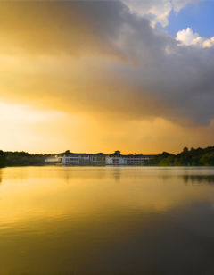 Purple Palace Hotel