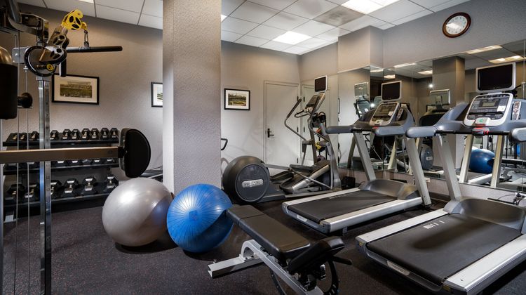 Staypineapple, An Iconic Hotel, The Loop Health Club
