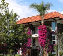 Laguna Hills Lodge Exterior