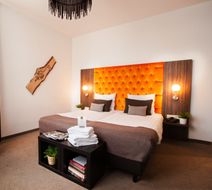 City Hotel La Reine Room