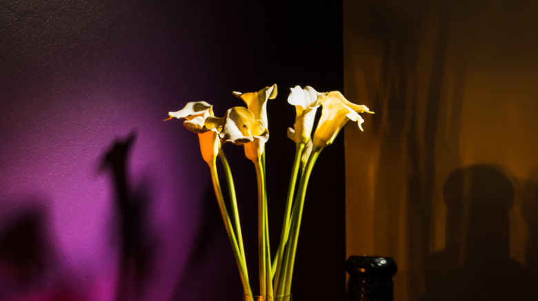 <b>Sifawy Boutique Hotel Room</b>. Images powered by <a href="https://www.leonardoworldwide.com/" title="Leonardo Worldwide" target="_blank">Leonardo</a>.