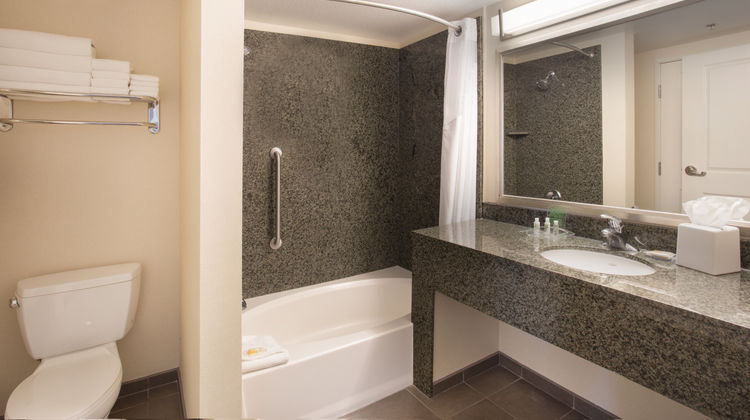 Holiday Inn-Sts Scottsdale North-Airpark Room