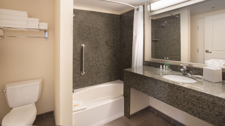 <b>Holiday Inn-Sts Scottsdale North-Airpark Room</b>. Images powered by <a href="https://www.leonardoworldwide.com/" title="Leonardo Worldwide" target="_blank">Leonardo</a>.