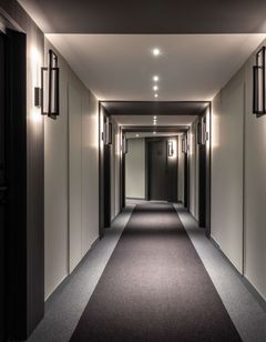 Ibis Sainte Catherine