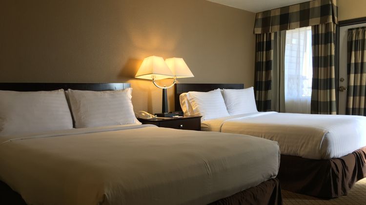Holiday Inn Express Room