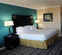 Holiday Inn Express Room