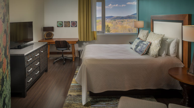 <b>Hotel Indigo Asheville Room</b>. Images powered by <a href="https://www.leonardoworldwide.com/" title="Leonardo Worldwide" target="_blank">Leonardo</a>.