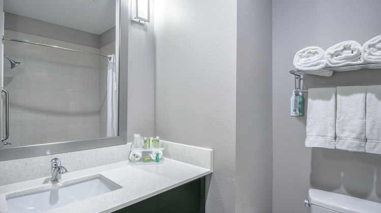 Holiday Inn Express/Suites Houston Intl Room