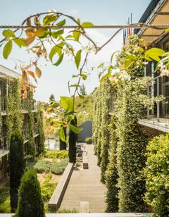 Courtyard Montpellier Marriott