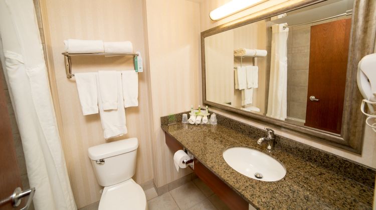 Holiday Inn Express & Suites Drayton Val Room