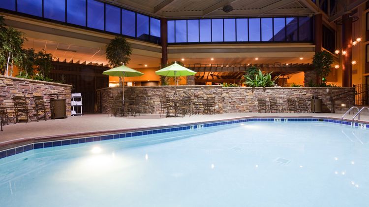 Holiday Inn Bloomington-Arpt I-35W Pool