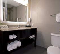 Holiday Inn Express Adrian Room
