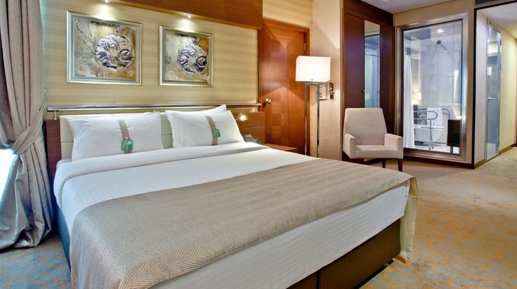 Holiday Inn Ankara Kavaklidere Room