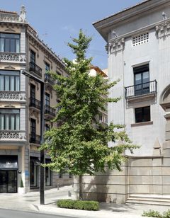 Eurostars Gran Via