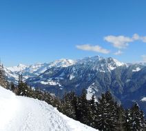 Alpine Classic Hotel Leysin Exterior