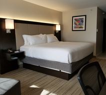 Holiday Inn Express Room