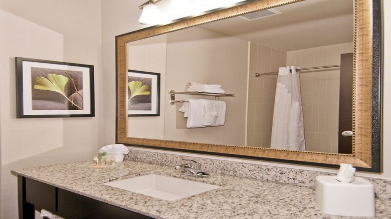 <b>Holiday Inn Austin Airport Room</b>. Images powered by <a href="https://www.leonardoworldwide.com/" title="Leonardo Worldwide" target="_blank">Leonardo</a>.