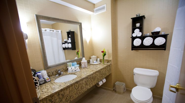 Holiday Inn Express Hotel & Suites Room
