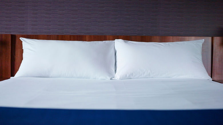 <b>Holiday Inn Express Odysseum Room</b>. Images powered by <a href="https://leonardo.com/" title="Leonardo Worldwide" target="_blank">Leonardo</a>.