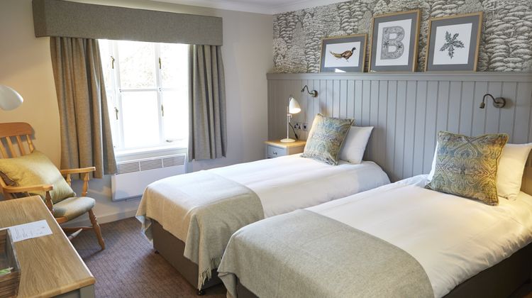 Bluebird Inn Room