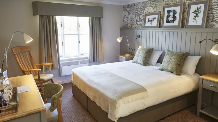 Bluebird Inn Room