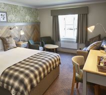 Bluebird Inn Room